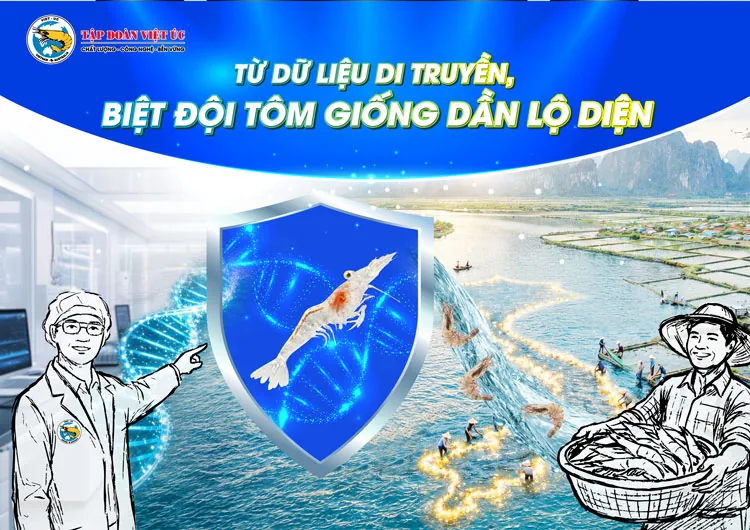 Hình ảnh chiến dịch ra mắt tôm giống Biệt đội tứ siêu